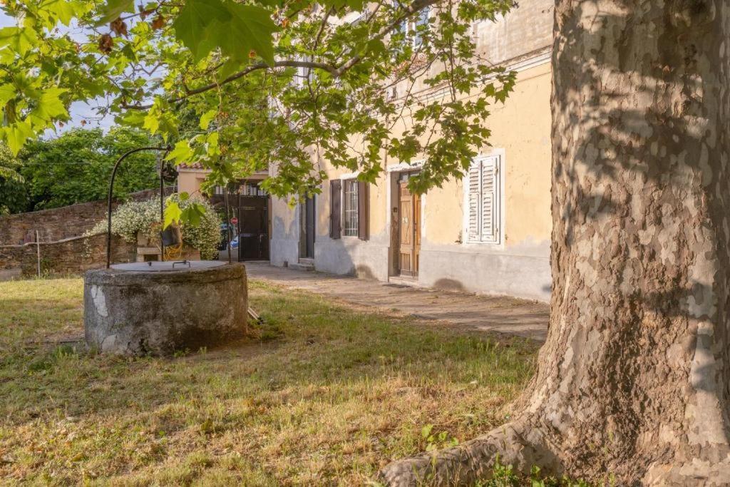 Appartamento Vistasanlu Trieste Esterno foto
